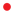 bib